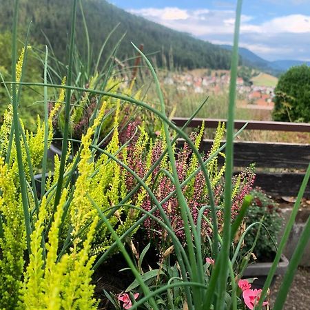 Appartement Mit Herrlicher Aussicht Uebers Murgtal Baiersbronn Luaran gambar