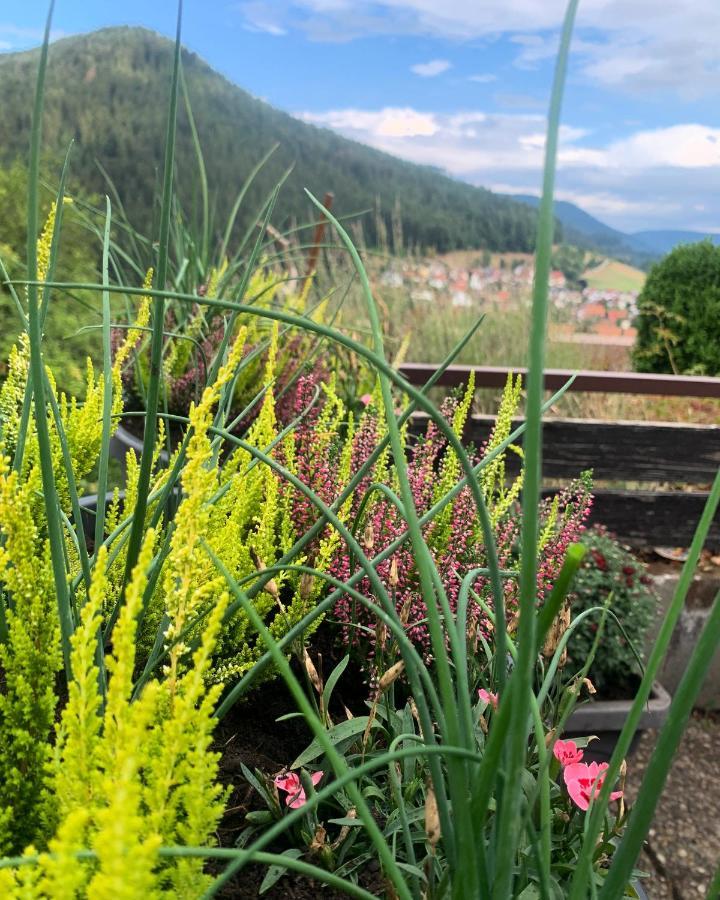 Appartement Mit Herrlicher Aussicht Uebers Murgtal Baiersbronn Luaran gambar